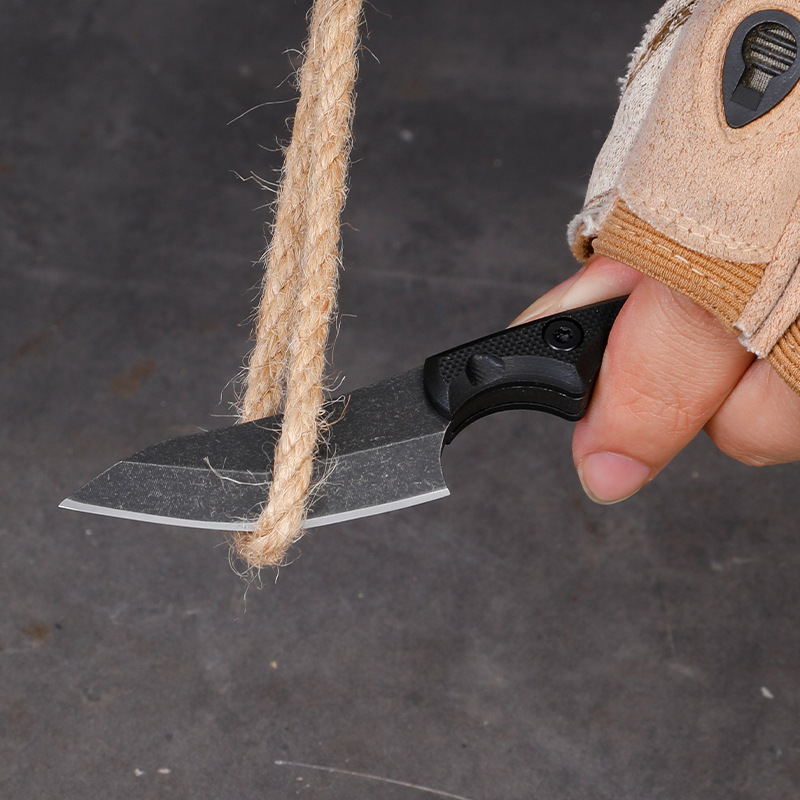 5CR15 Roestvrij Staal Kleine V - Edc Carry Fixed Blade recensie en prijs